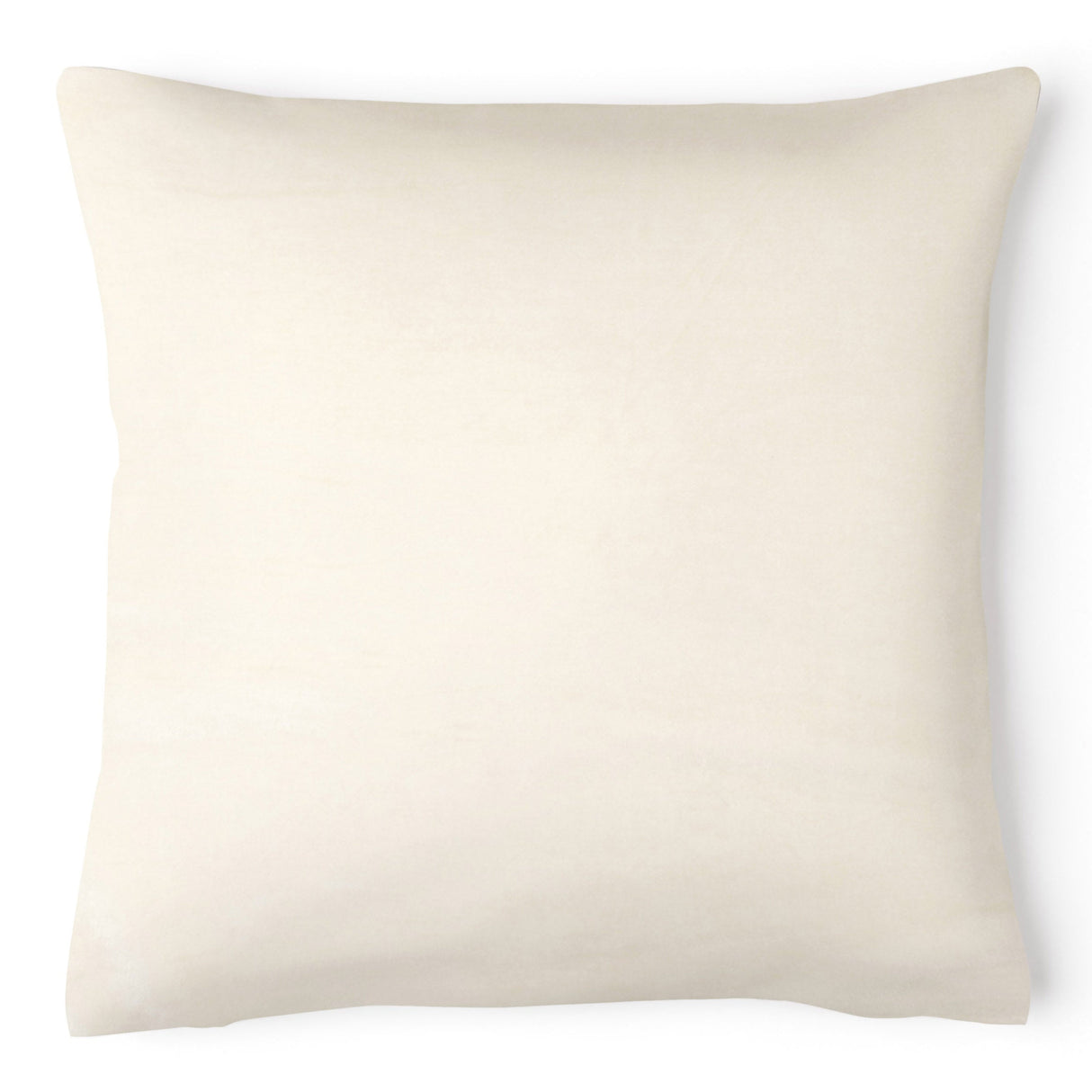 Intimates Grace Velvet Cushion