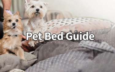 Everything You Need to Know About Choosing the Perfect Pet Bed