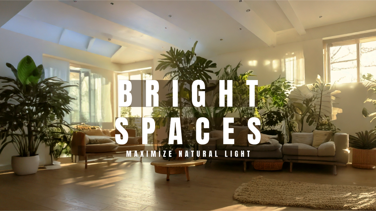 Maximise Natural Light in Every Room