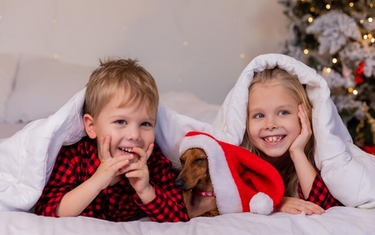 Experience the Magic of Christmas Nights: Transform Your Child's Bed with Our Enchanting Christmas Duvet Sets for a Santa Approved Slumber Party!