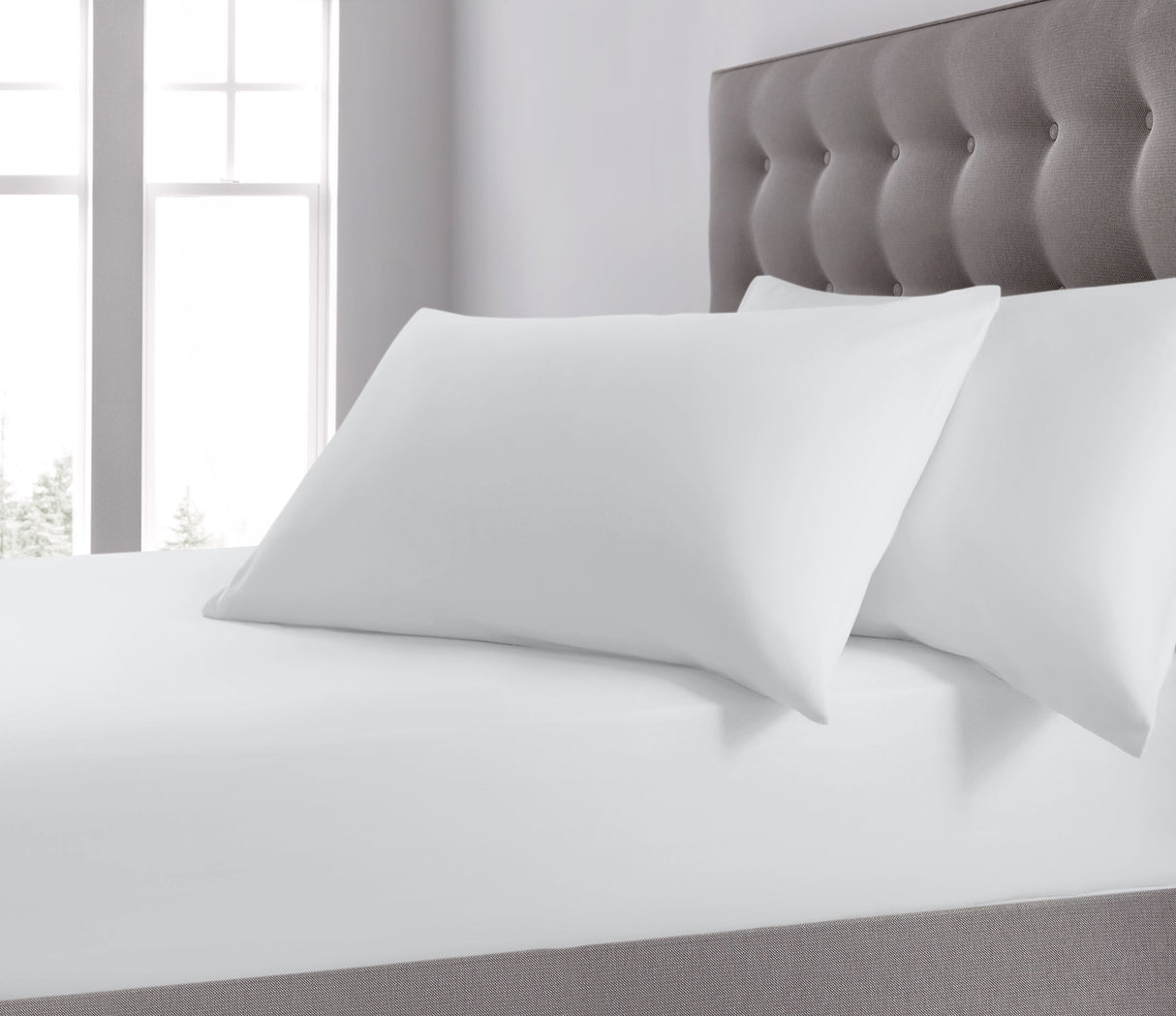 Velosso Plain Dyed Fitted Sheet