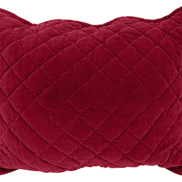 Sanzio Velvet Accent Pillow